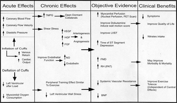 improvement in Chronic angina & heart failure patients
